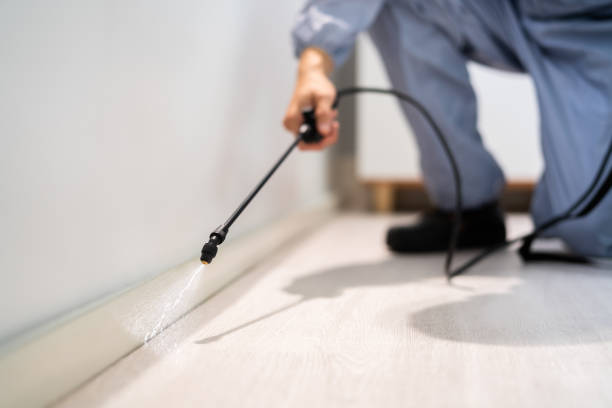 Licensed Termite Control service in Newark, DE - Nex Pest Control