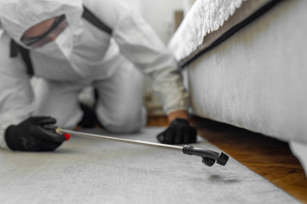 Professional Termite Control technician working in Newark, DE