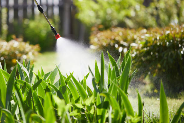24/7 Emergency Termite Control experts in Newark, DE