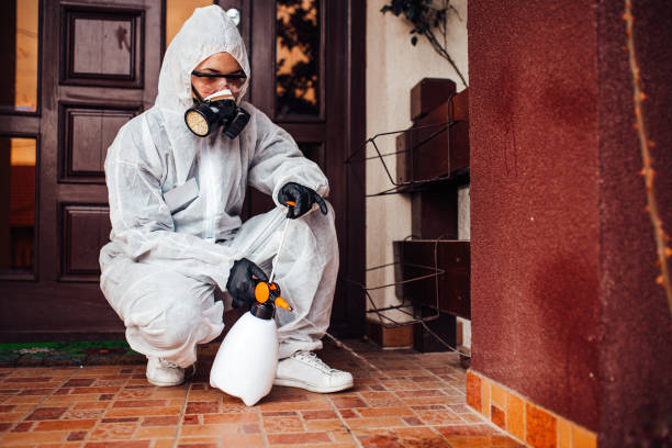 Reliable Termite Control contractor in Newark, DE by Nex Pest Control
